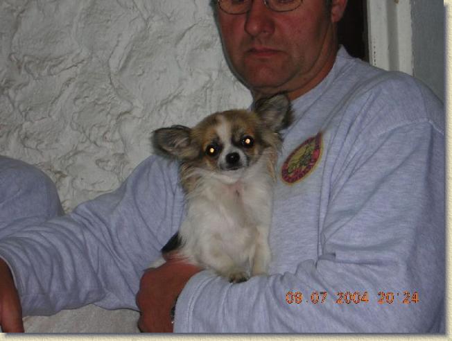 Nchstes Bild