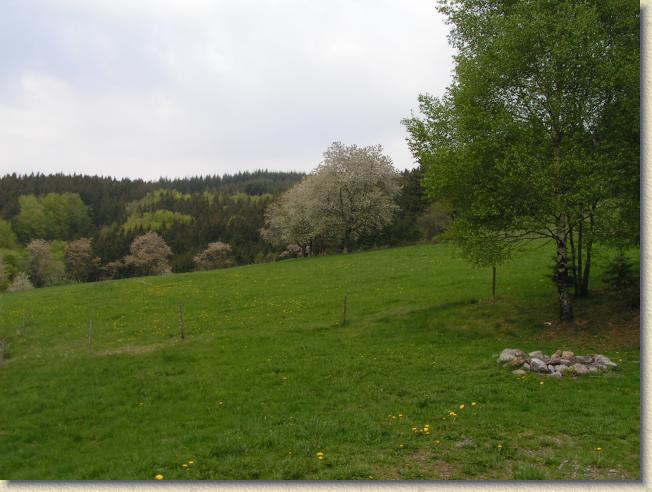 Nchstes Bild